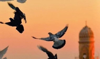 Sahurumuz şifa olsun