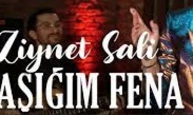 Ziynet Sali - Aşığım Fena şarkı sözleri
