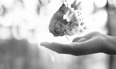 Kurak mevsimler yaşıyoruz