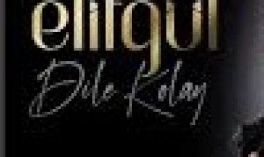 Elifgül - Dile Kolay şarkı sözleri