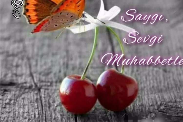 Günaydın-Hatfa Sonu