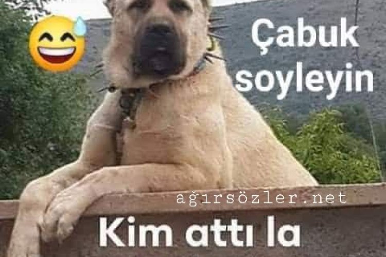 Espiri- Kim Attı O taş ı