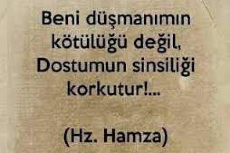 sinsi insanlara sözler