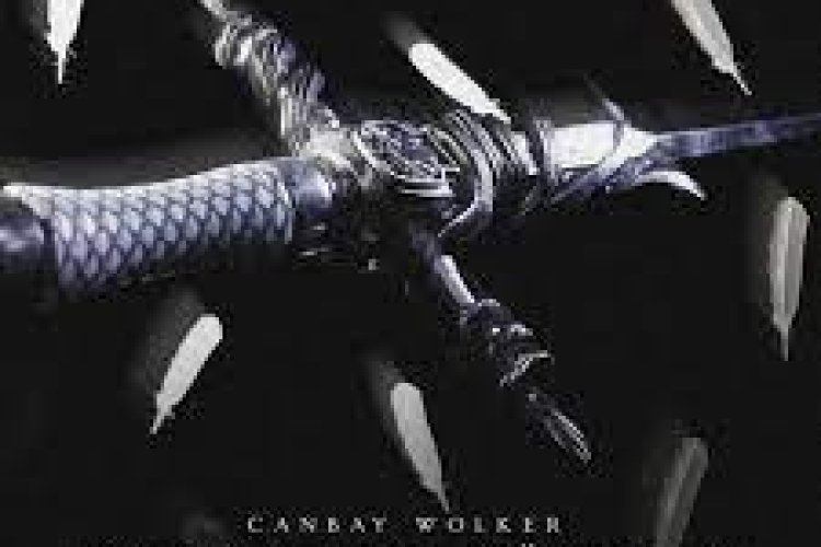 Canbay Wolker - Karanlık Dünyam şarkı sözleri