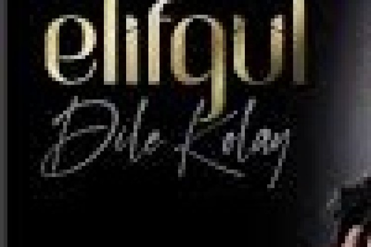 Elifgül - Dile Kolay şarkı sözleri