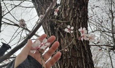 Günaydın, geri yatıp yatmamakta kararsız olanlar