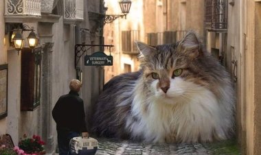 Deli, dolu ve çocuk ruhlu olanlar