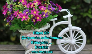 Bir vefalı diyor ki