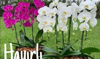 Hayırlı sabahlar, bereketli sahurlar