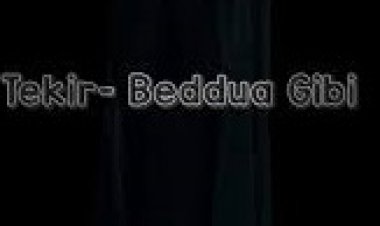 Tekir - Beddua Gibi şarkı sözleri