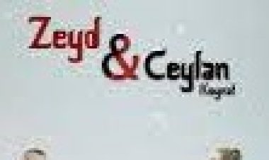 Zeyd feat. Ceylan Koynat - Yine Yine