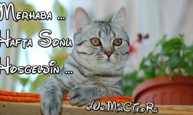 Güzel bir hafta sonu olması dileğiyle