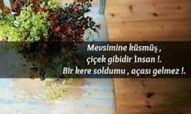 Mevsimine Küsmüş Çiçek Gibidir İnsan