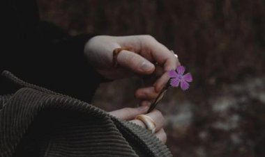 İnsanlar üç zümredir