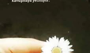 Papatyalara söyleyin sevmek kavuşmaya, yetmiyor
