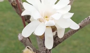 Oruçlu iken çok acıkmamız