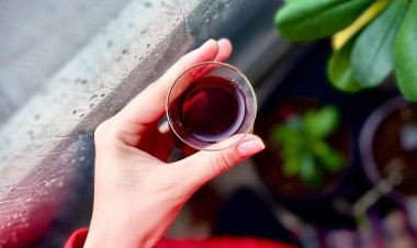 Mutlu sağlıklı günler herkese