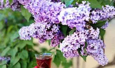 Hz Ali'ye sormuşlar; bayram nedir