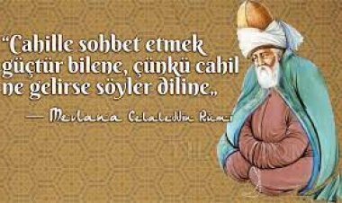 cahil sozleri