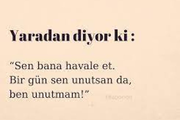 Bağışlarım ama asla unutmam