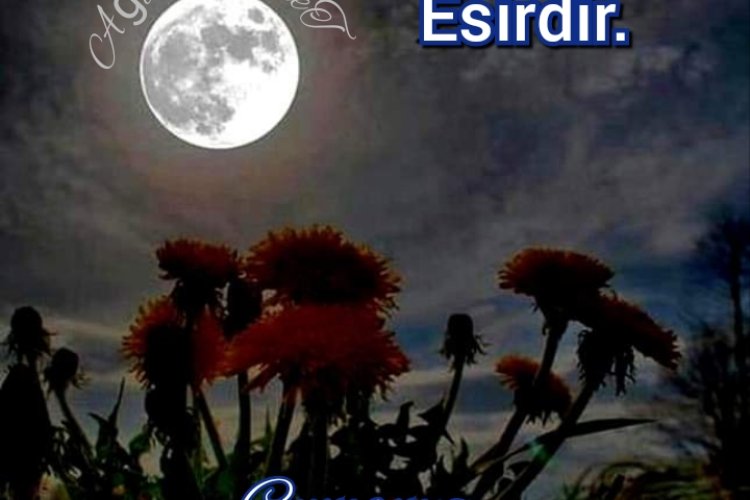Ramazan dan Dolun Ay lı Cuma Mesajı