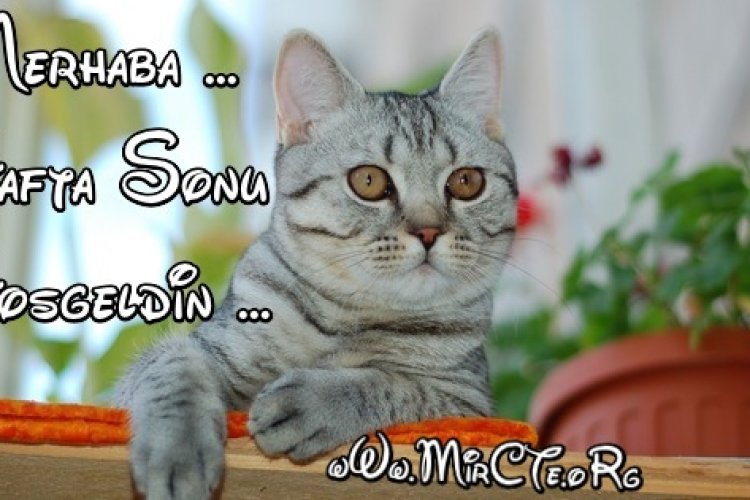 Güzel bir hafta sonu olması dileğiyle