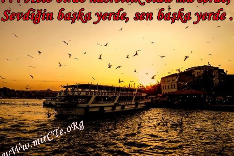 Bir kadının başı