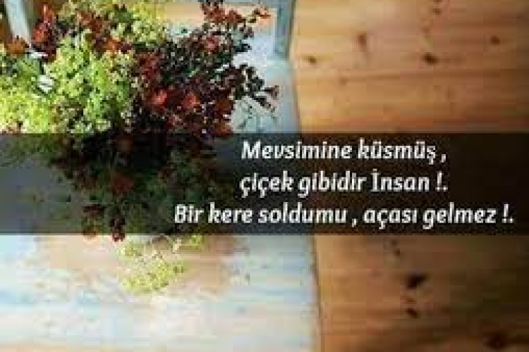 Mevsimine Küsmüş Çiçek Gibidir İnsan