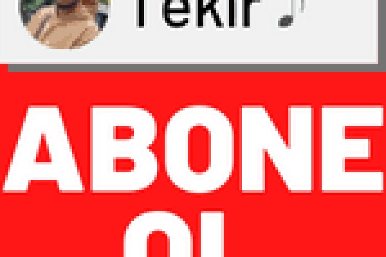 Tekir ft. Giz - Duruyorum Hedefte şarkı sözleri