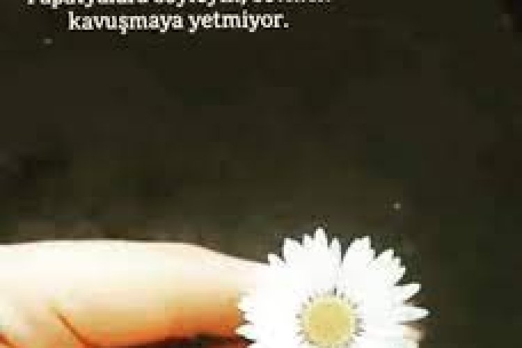 Papatyalara söyleyin sevmek kavuşmaya, yetmiyor