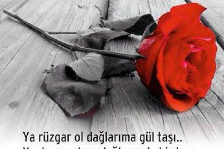 Yüreğim yaşamın içinde kavrulurken Siz uyuyordunuz