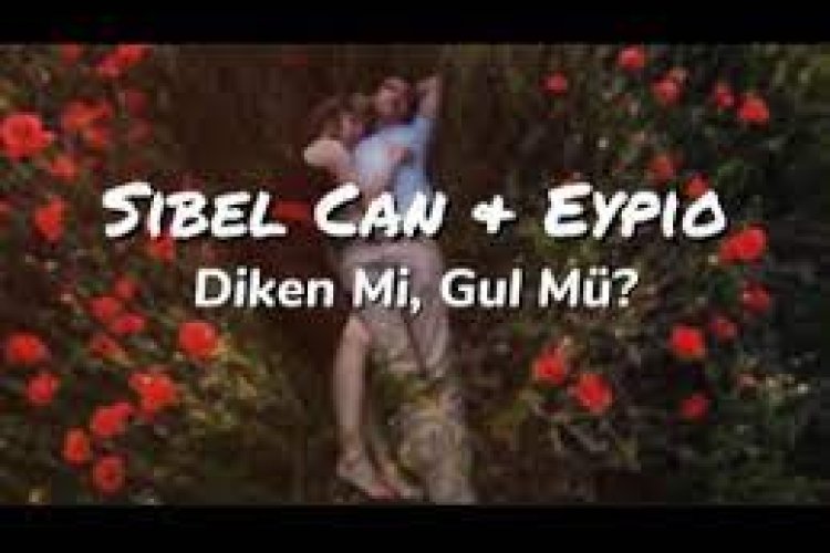 Sibel Can Eypio - Diken Mi, Gül Mü