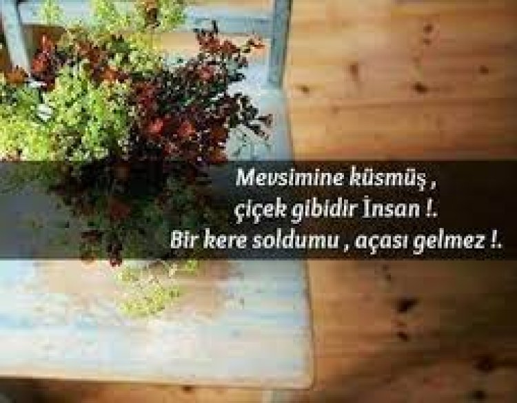 Mevsimine Küsmüş Çiçek Gibidir İnsan