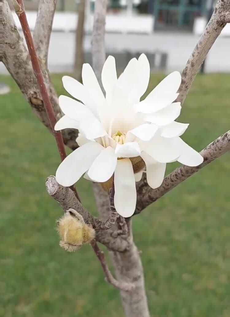 Oruçlu iken çok acıkmamız