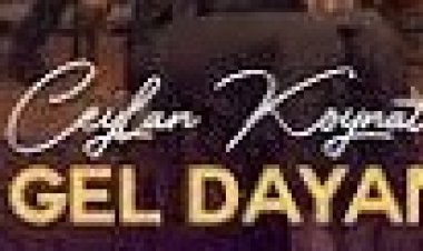 Ceylan Koynat - Gitme Gel Dayanamam  şarkı sözleri