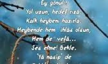 Erman  Devran - Ey Gönül şarkı sözleri