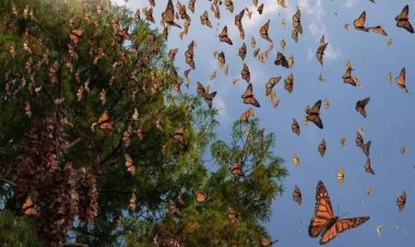 Aradığınız kişiye ulaşamıyorsanız