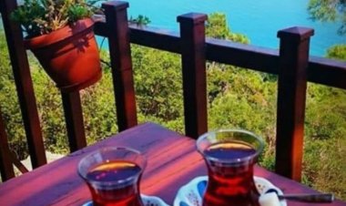 Günaydın arkadaşlar