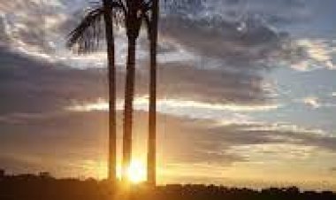 Gün akşamda sevgiyle gelsin