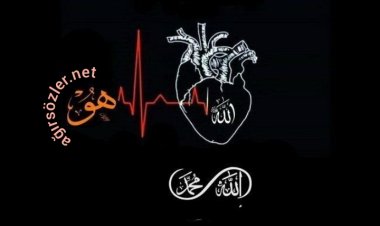 Kalp den Kalp e Cuma