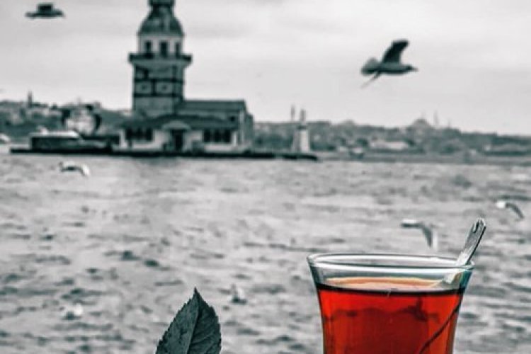 Mayıs ayını hakkımızda hayırlı eyle