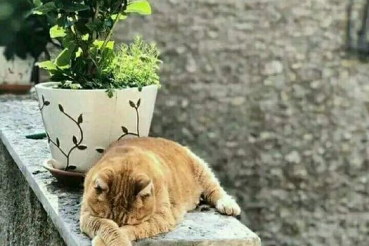 Boşa geçiyor ömür