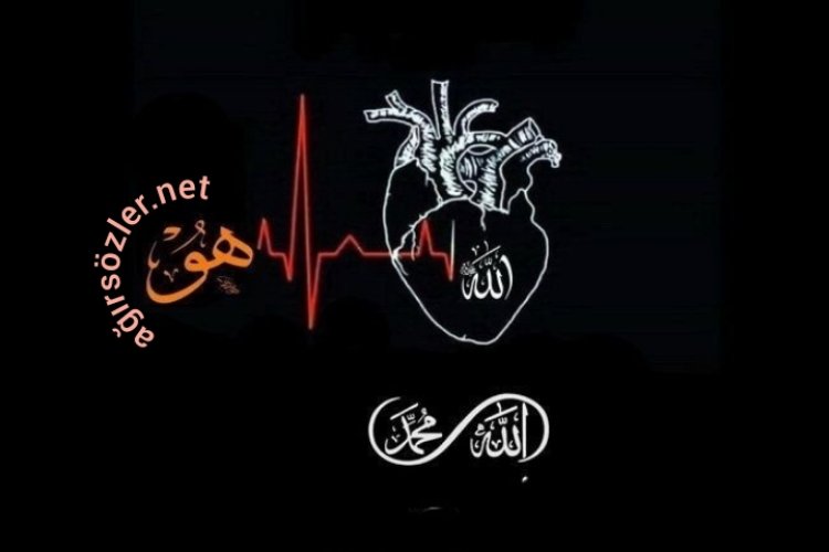 Kalp den Kalp e Cuma