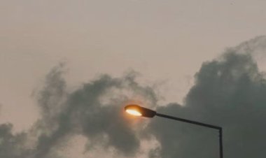 yok saymak, çok zarif bir intikamdır..