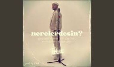 Tekir - Nerelerdesin şarkı sözleri