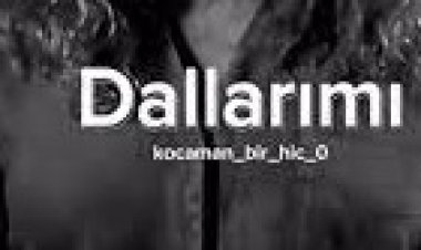 çinare melikzade dallarımı kırdılar şarkı sözleri