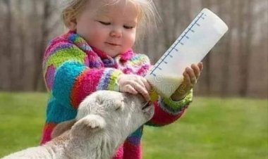 Kavuşmaların günü olsun bugün