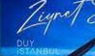 Ziynet Sali - Duy İstanbul şarkı sözleri