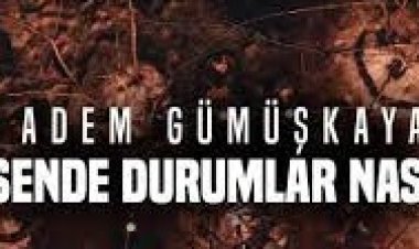 Adem Gümüşkaya - Sende Durumlar Nasıl  şarkı sözleri