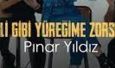 Pınar Yıldız - Deli Gibi Yüreğime Zorsun şarkı sözleri